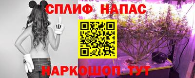 трава Северобайкальск