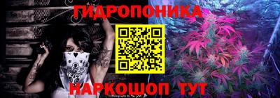 трава Северобайкальск