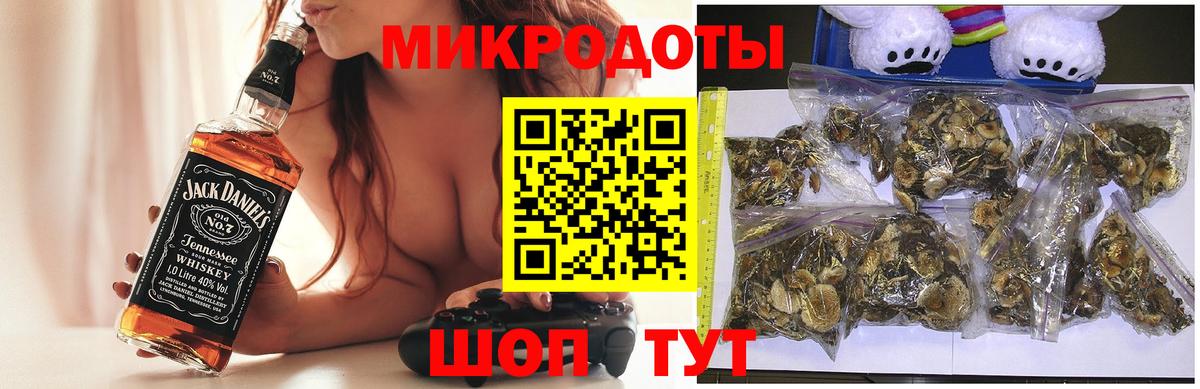 Галлюциногенные грибы Psilocybine cubensis Новозыбков