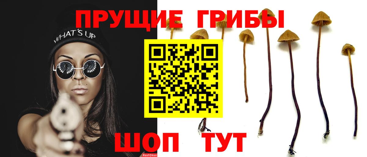 Новозыбков  Псилоцибиновые грибы мухоморы  Галлюциногенные грибы Psilocybine cubensis  Вход с VPN 